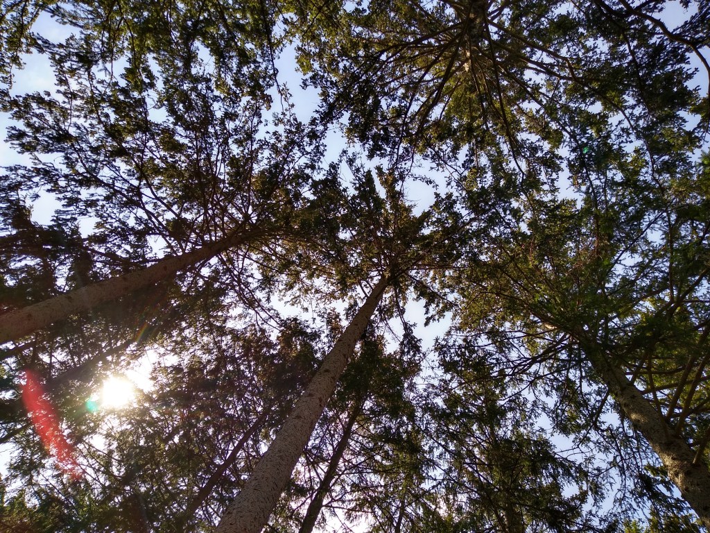 How not to witness to an exvangelical.