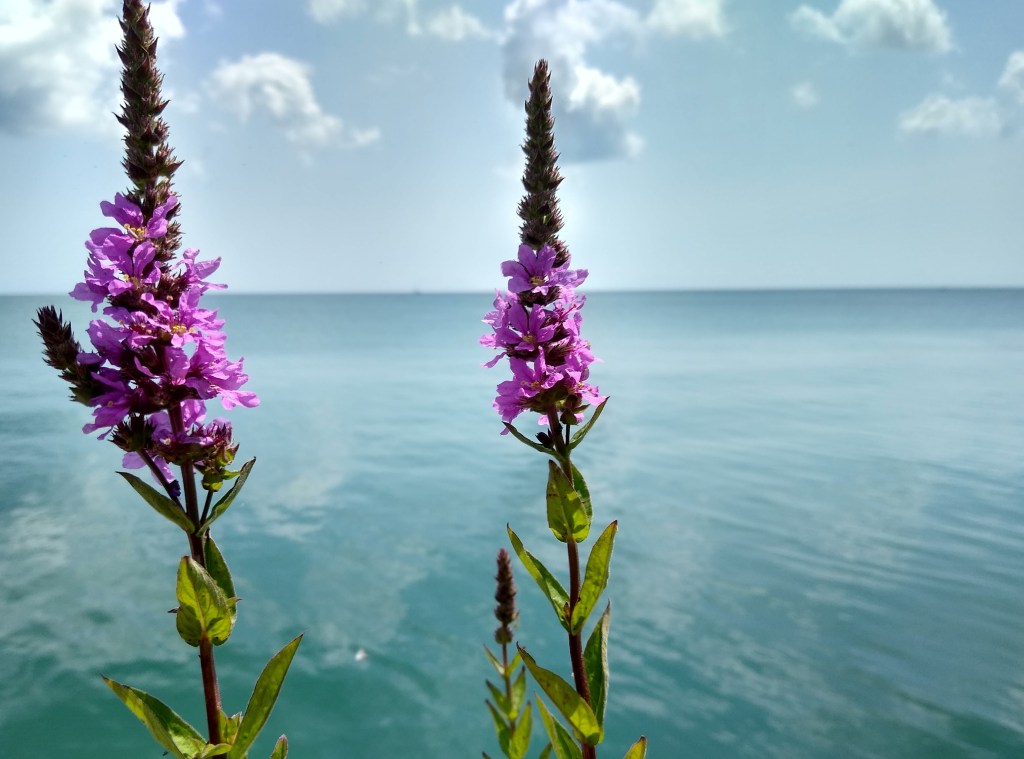 Forgiveness and Pain