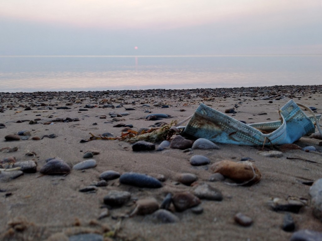 Politics and Vaccines