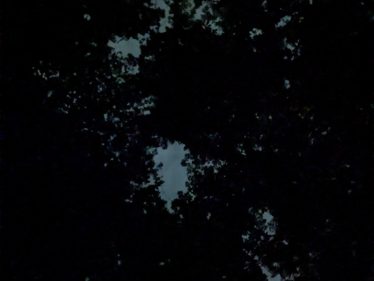 Was it a&nbsp;Choice?