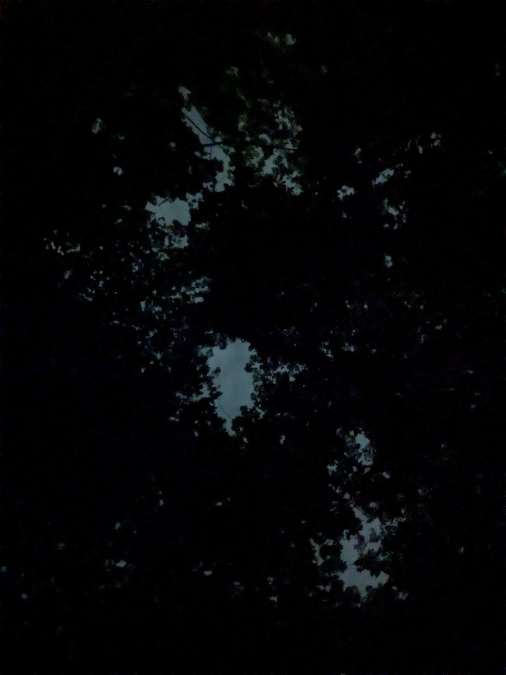 Was it a&nbsp;Choice?