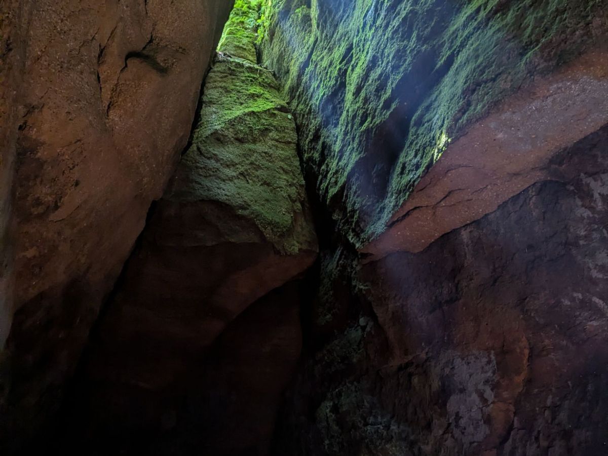 It’s the End of The World as We Know It – And I Feel “Meh”